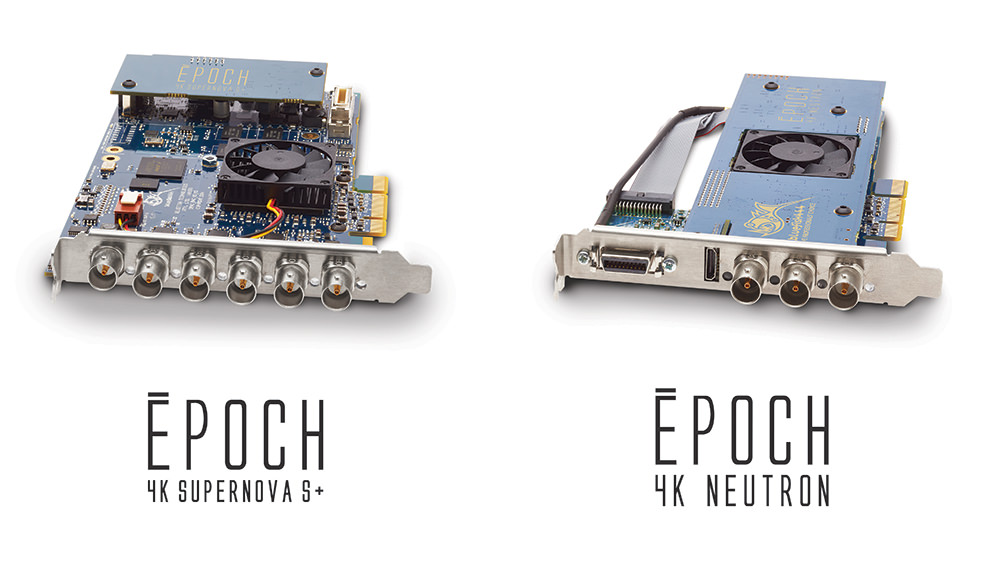 BBG Sports and Bluefish444