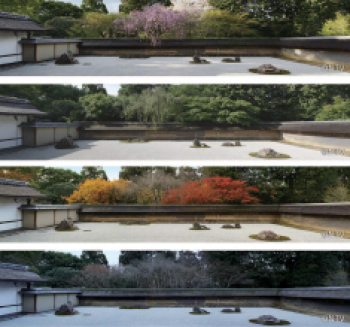 Nippon TV. Bluefish444.