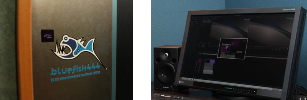 Tokyo VPR. Bluefish444.