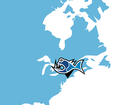 Broadfield Distributing Inc, New York