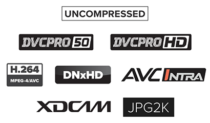 IngeSTore Server 3G. Multiple Codec Options.